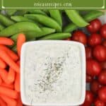 image for pinterest with text overlay recipe title The Best Veggie Dip is not Ranch