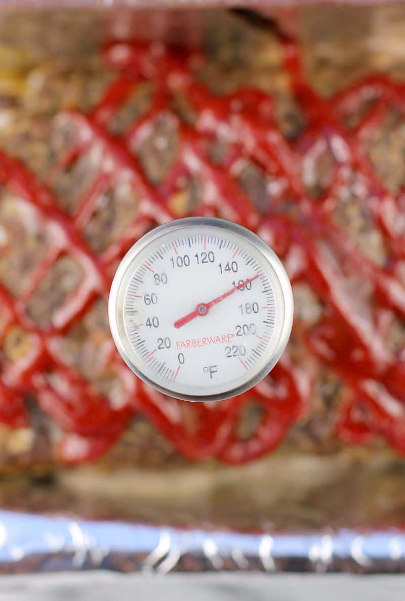 close view of the meat thermometer showing the red pointer right at 160 degrees