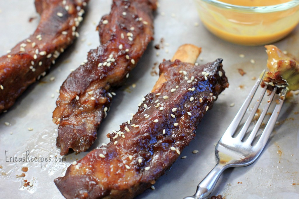 Chinese BBQ Pork Spareribs from EricasRecipes.com