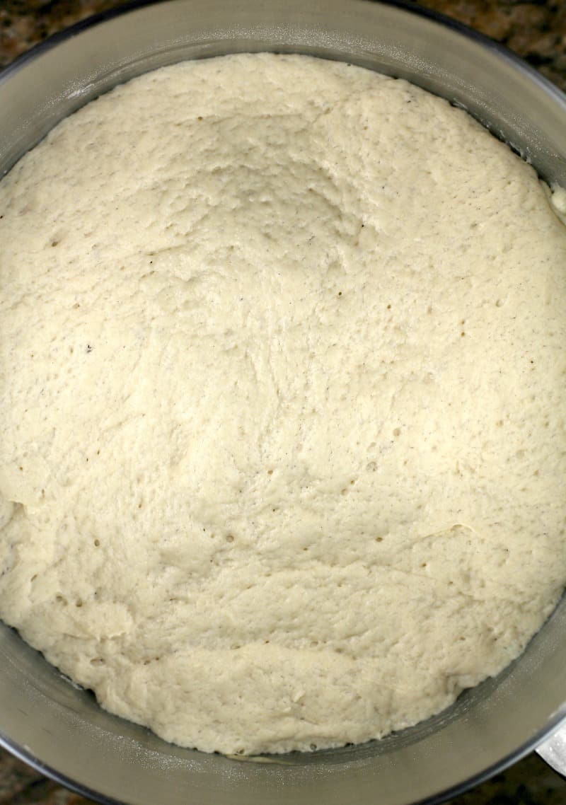 beer pizza dough after rising