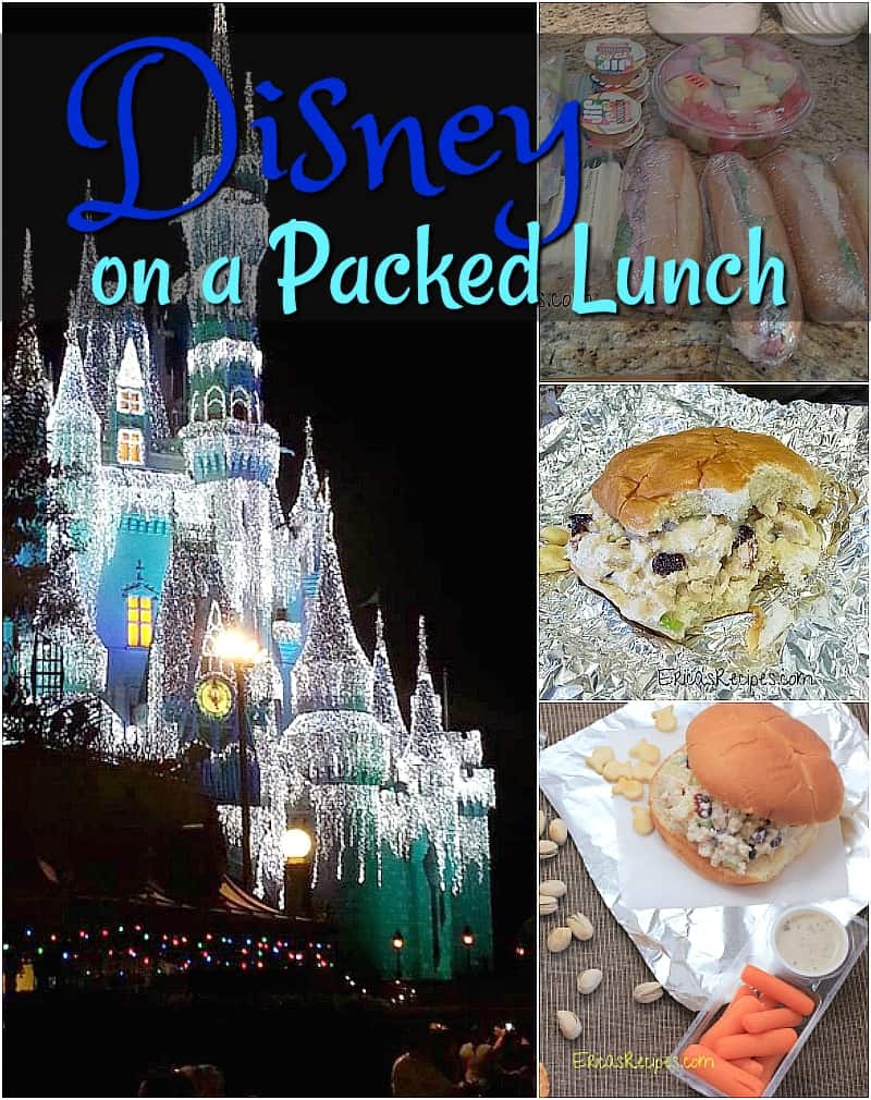 Disney on a Packed Lunch #food #travel #disney #kids #florida #lunchideas #food