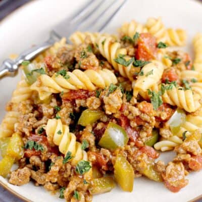 close in view of the sloppy joe dinner on a plate with a fork