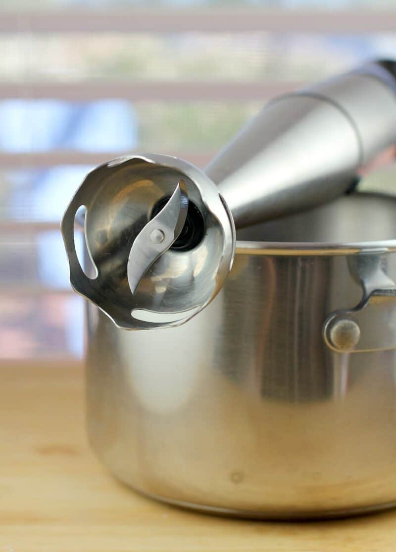 blade of an immersion blender