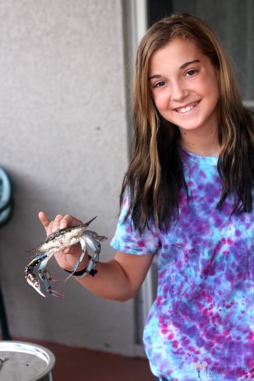 Classic Steamed Blue Crabs