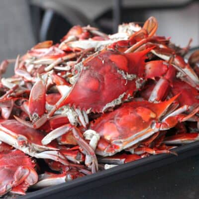 Classic Steamed Blue Crabs