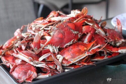 Classic Steamed Blue Crabs