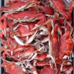 Classic Steamed Blue Crabs