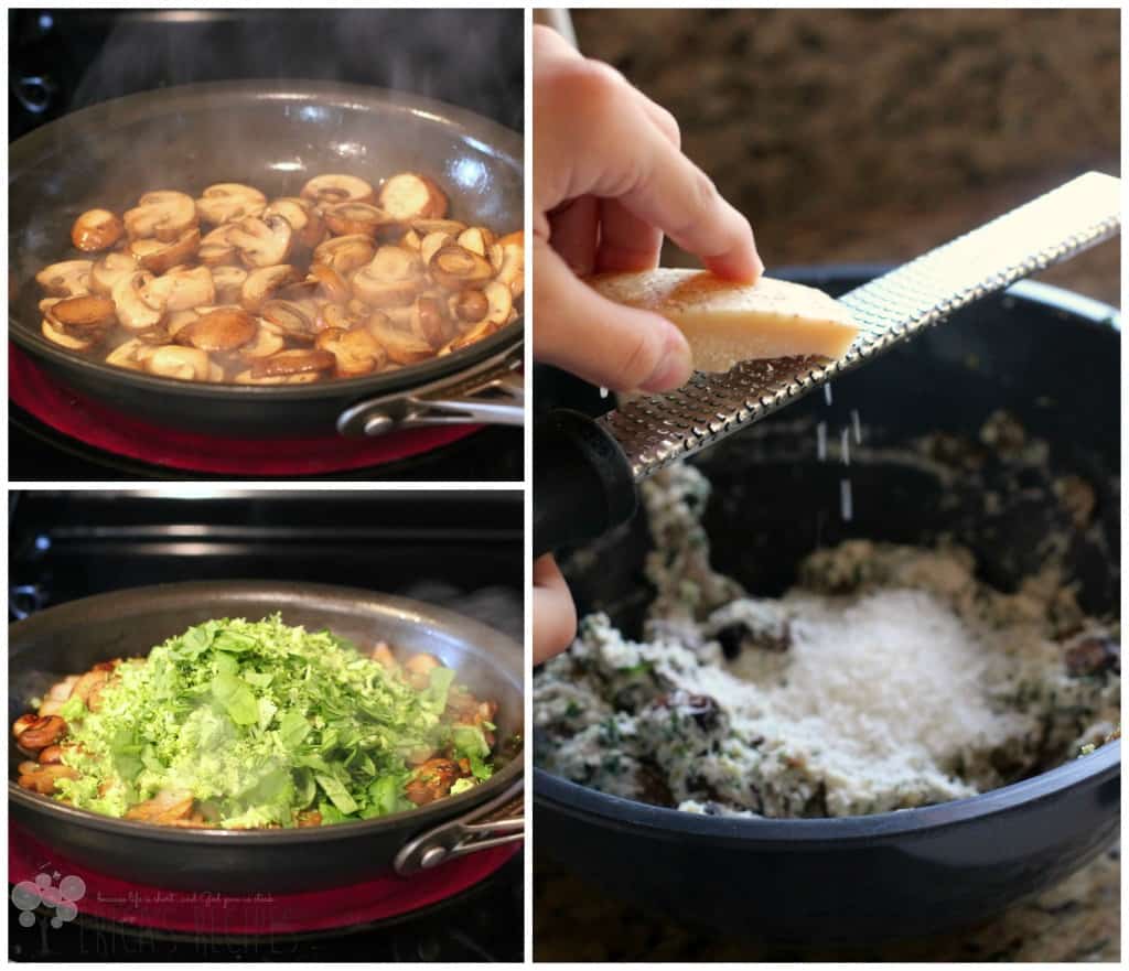 Mushroom, Broccoli, and Spinach Lasagna Roll-ups