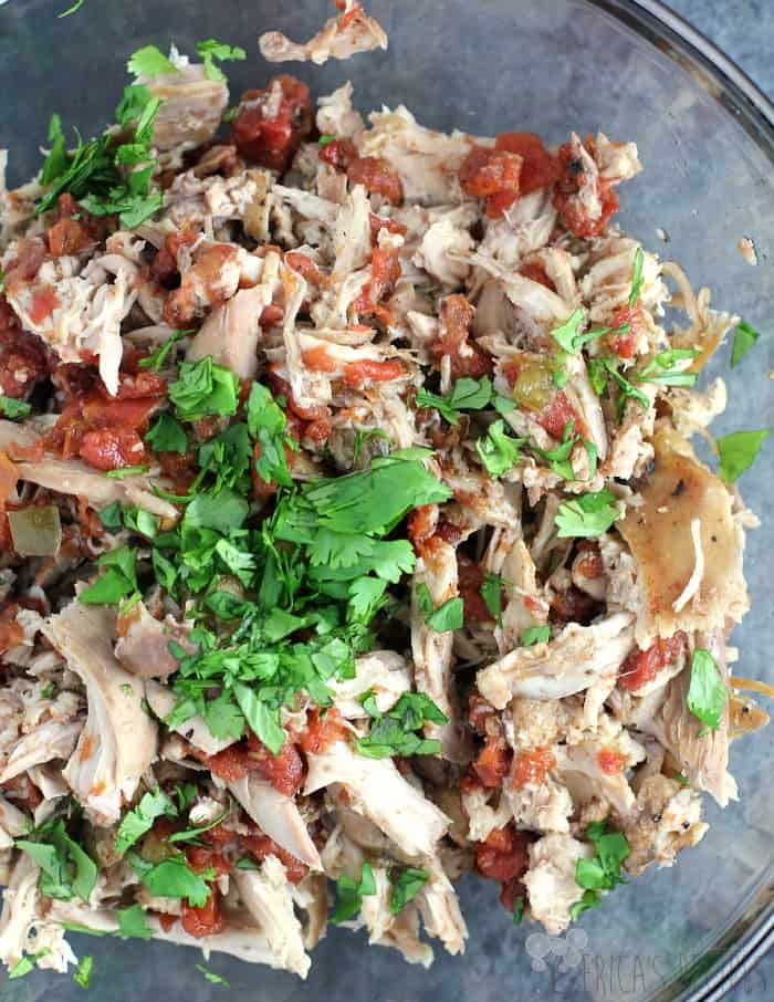 Mexican Pulled Chicken · Erica's Recipes