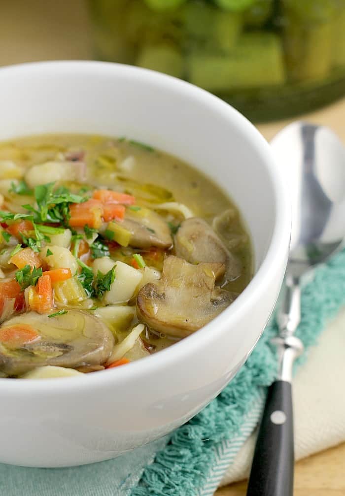 Potato Leek Noodle Soup