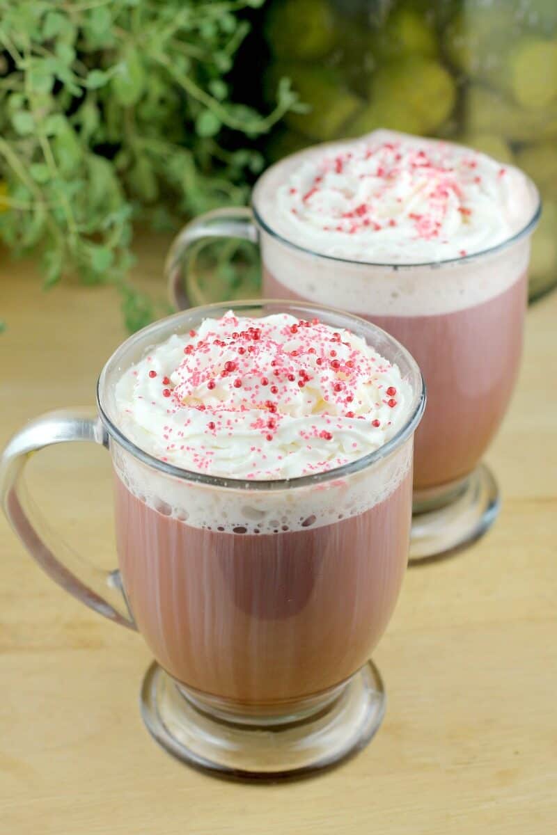 2 glass mugs filled with coffee, topped with whipped cream on a wood board; green plant in the background