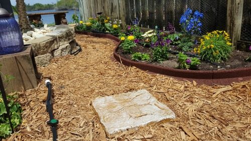 My Garden Transformation: From Trainwreck to Bee Haven