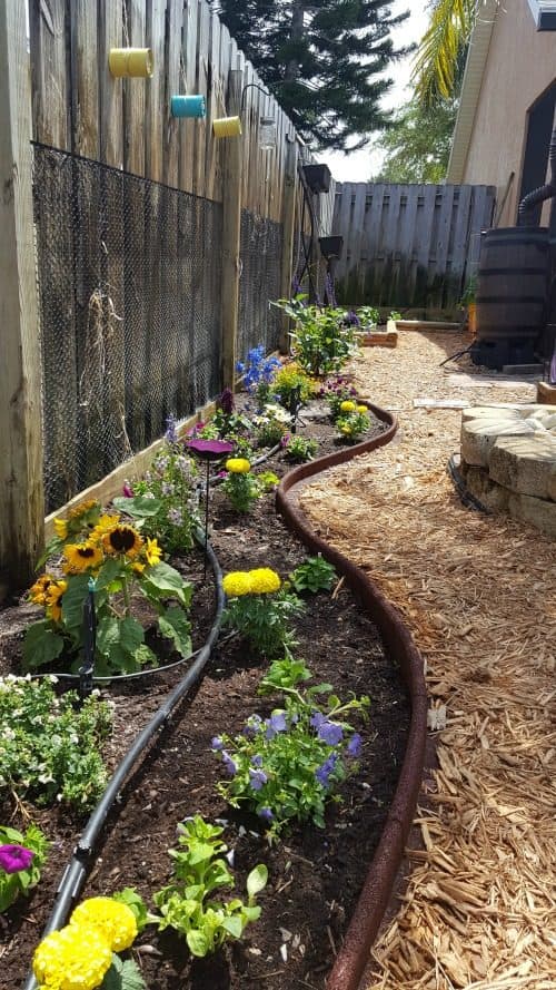 My Garden Transformation: From Trainwreck to Bee Haven