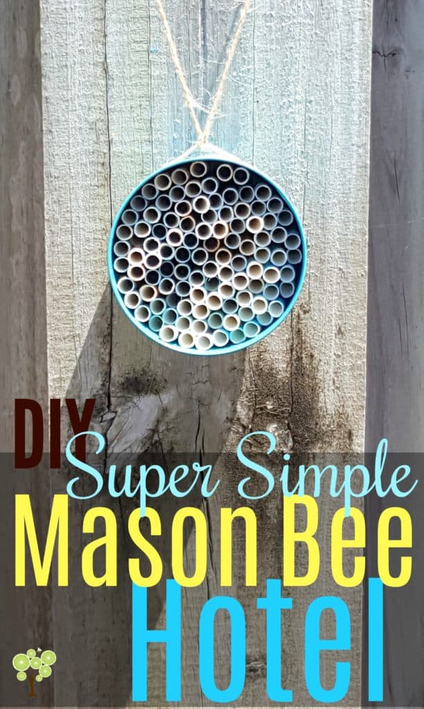 DIY Bee Hotel