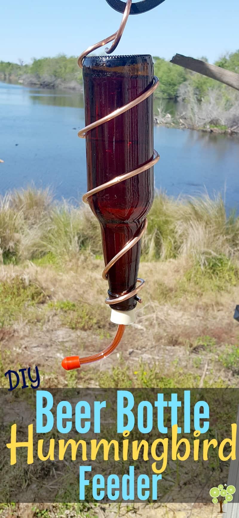 DIY Beer Bottle Hummingbird Feeder