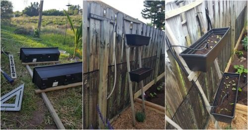 My Garden Transformation: From Trainwreck to Bee Haven