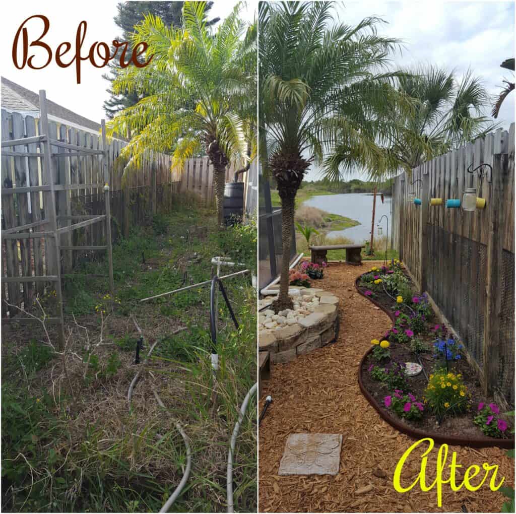 My Garden Transformation: From Trainwreck to Bee Haven