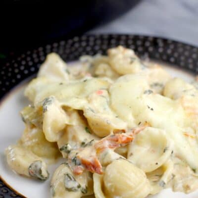 Super Cheesy Chicken Artichoke Orecchiette #ad