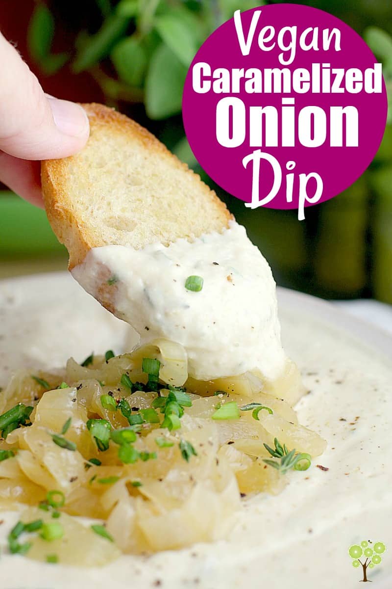 Vegan Caramelized Onion Dip