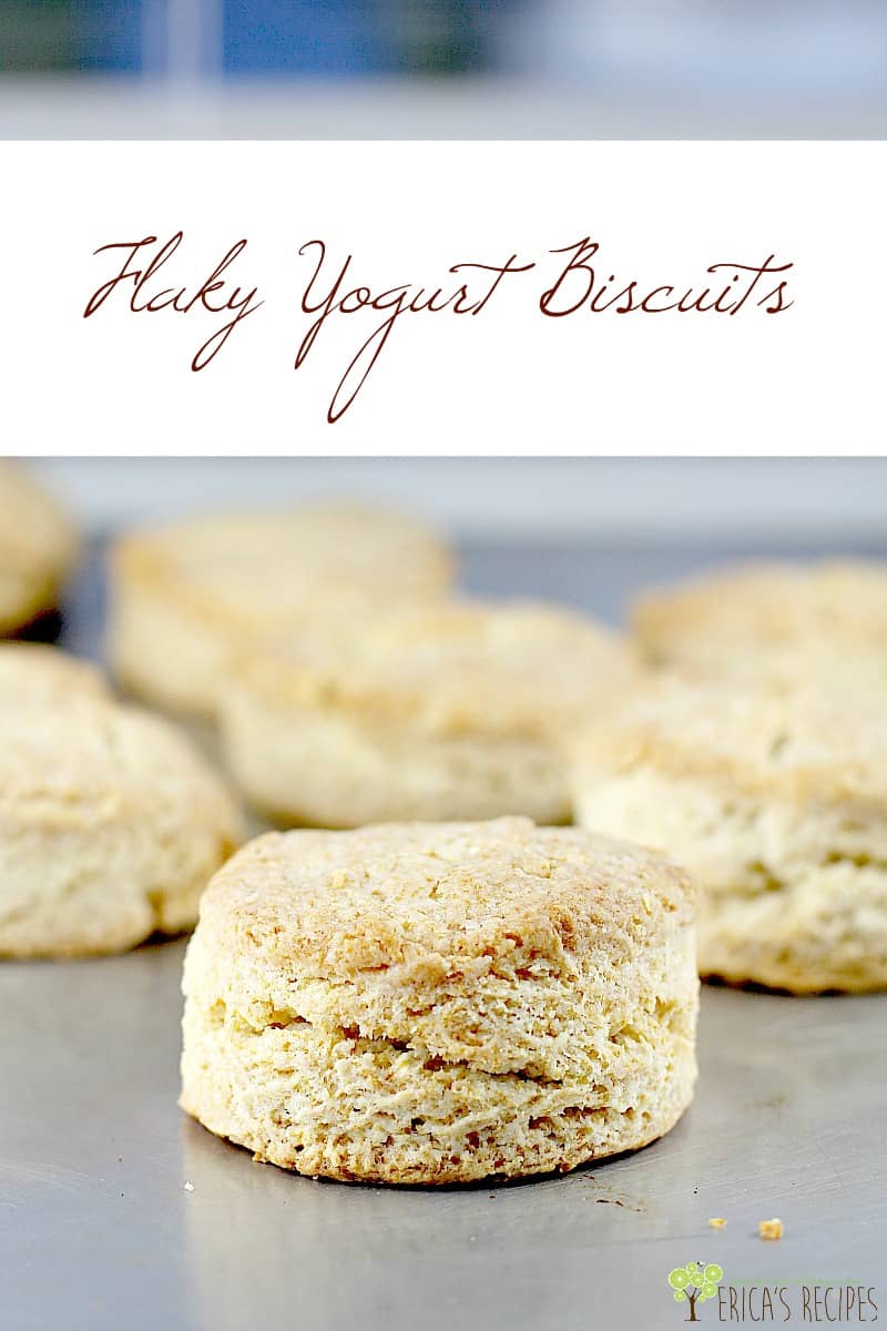 Buttery, flaky, dreamy light biscuits made with Greek yogurt as a substitute for buttermilk. These Flaky Yogurt Biscuits are everything you expect from a quick biscuit and this recipe is to the rescue when you want biscuits, but don't have buttermilk on hand. #food #recipe #breakfast #biscuit #yogurt #substituteforbuttermilk