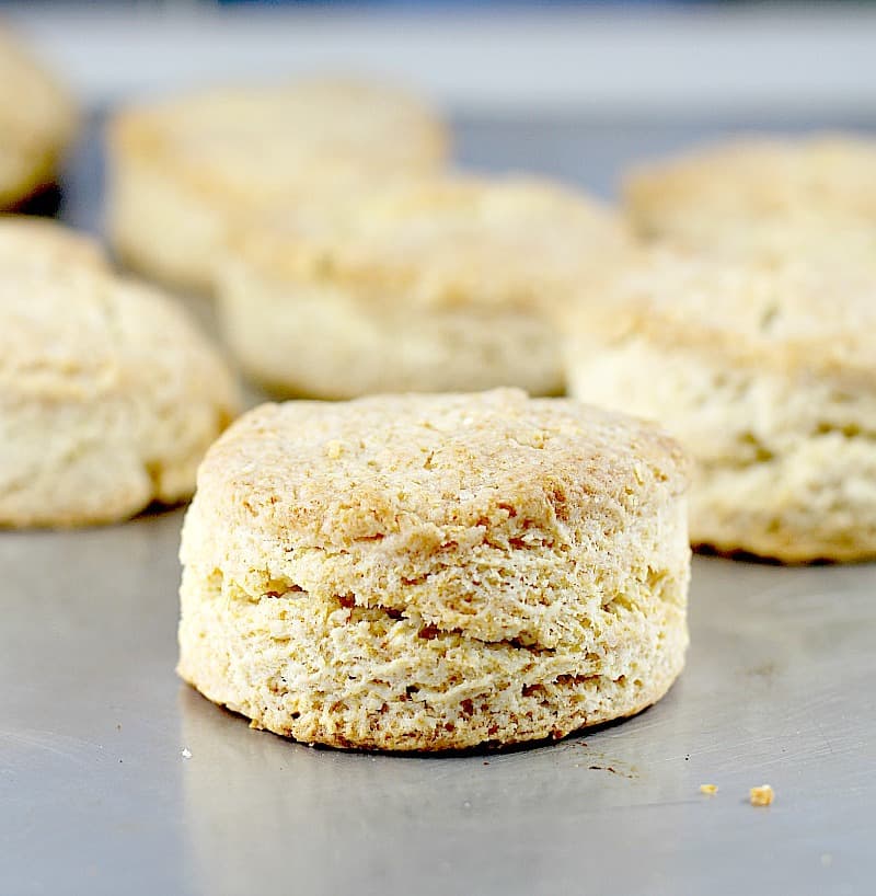 Flaky Yogurt Biscuits