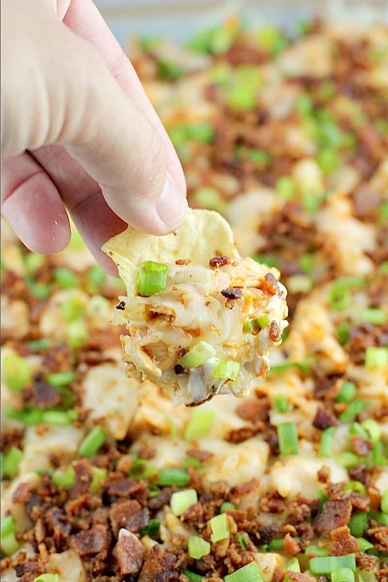 Hand holding a tortilla chip scooping up creamy buffalo bacon chicken dip