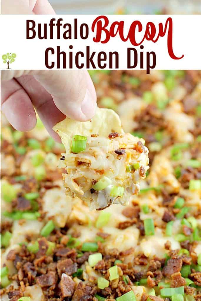 Buffalo Bacon Chicken Dip – Erica's Recipes