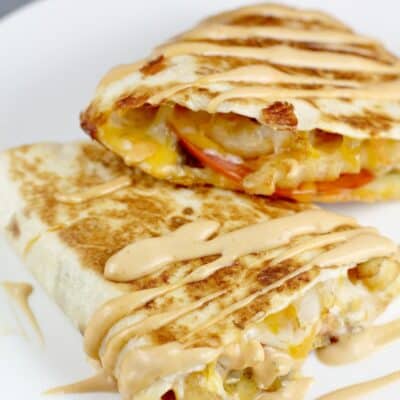 finished quesadilla, close view with burger sauce drizzled over