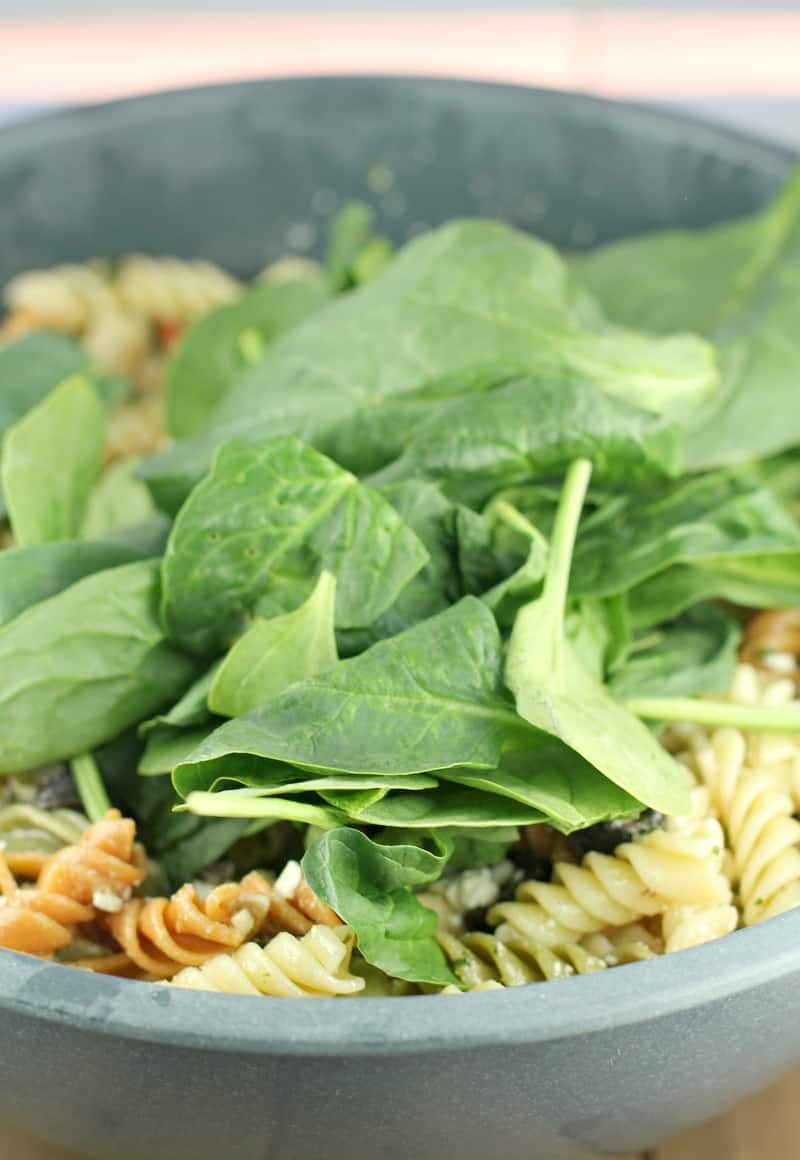 spinach sitting on pasta salad