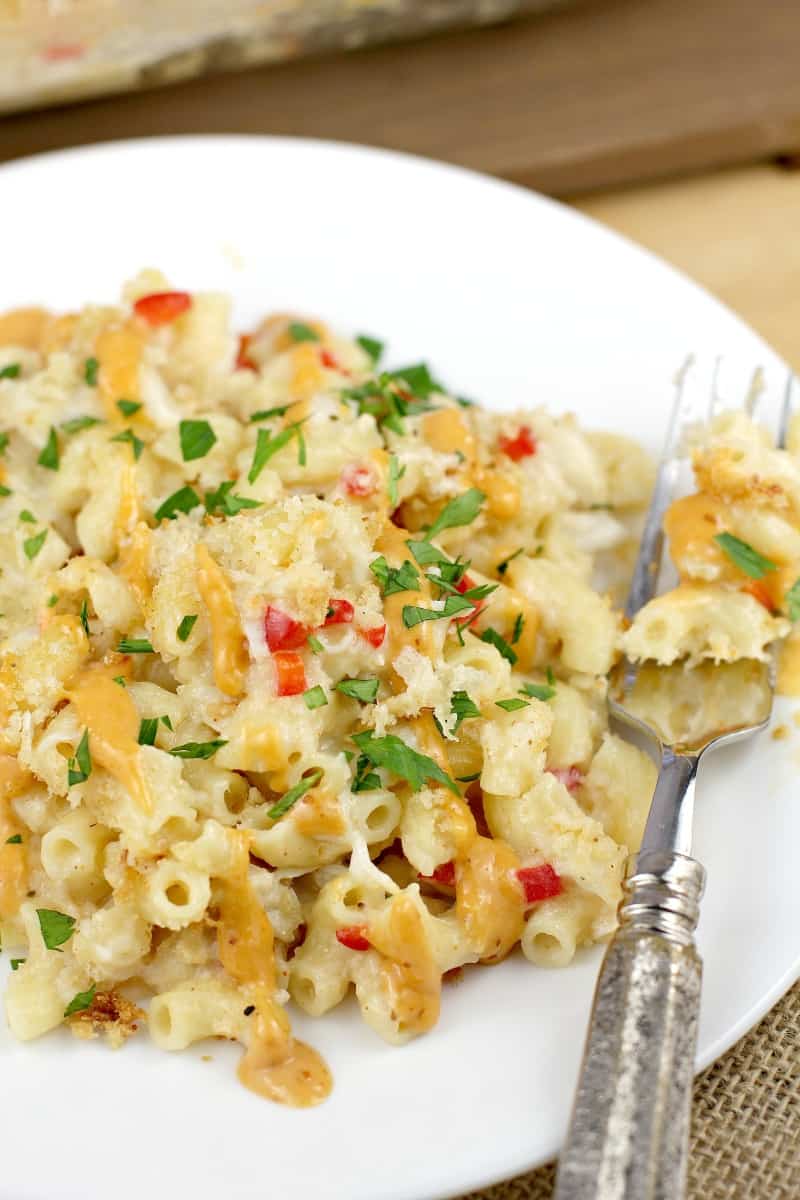 mac and cheese on a white plate; fork on the side holding a bite-sized amount