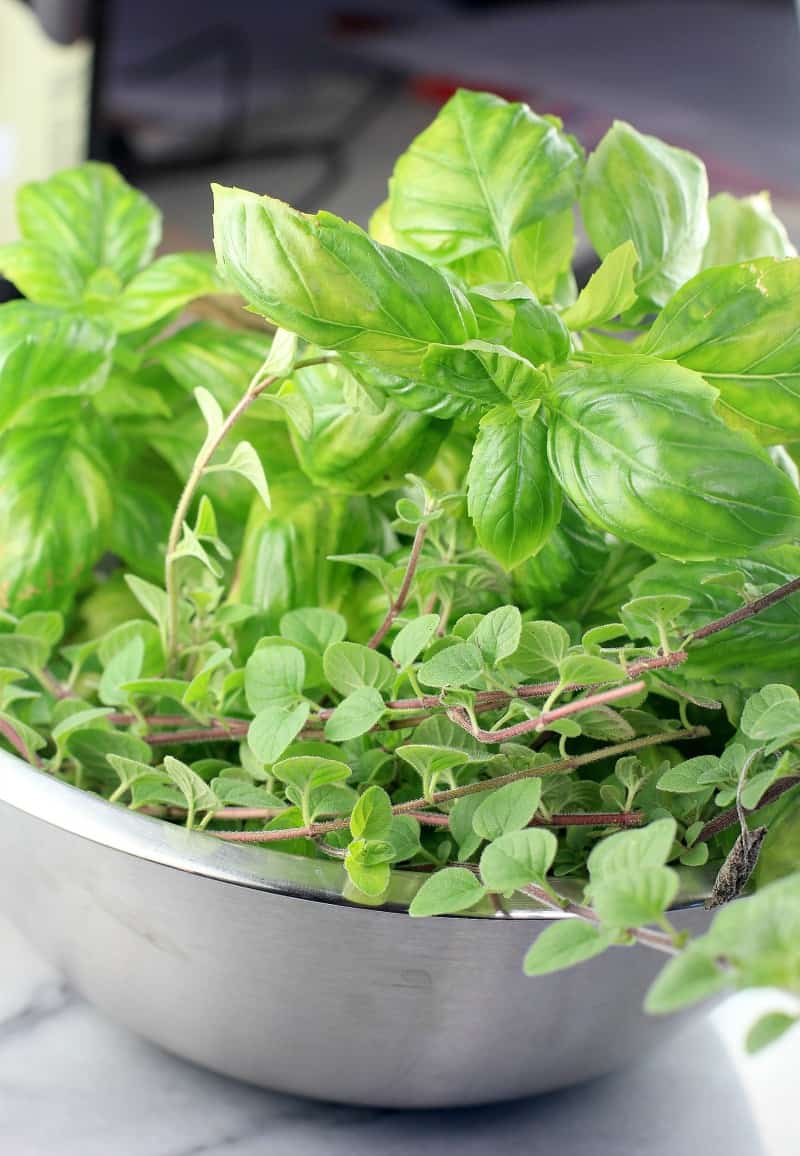 fresh basil and oregano in a metal bowl