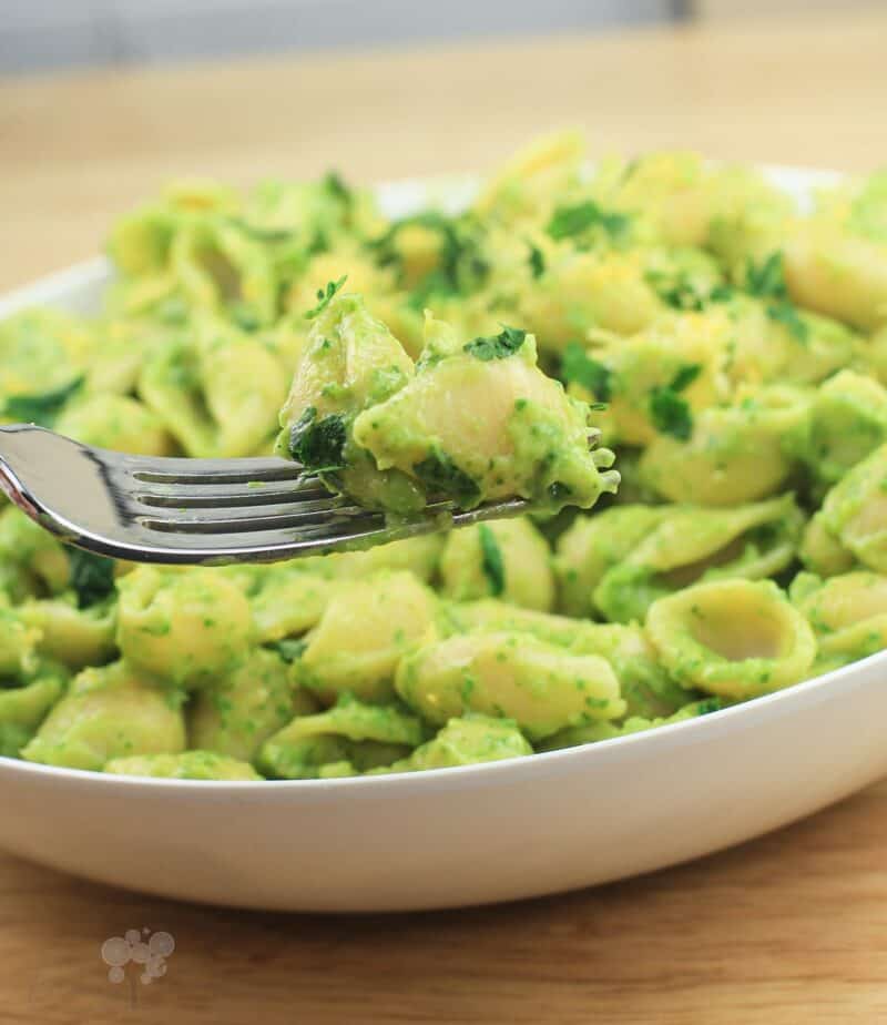 fork holding a couple pieces of pasta in avocado pasta sauce