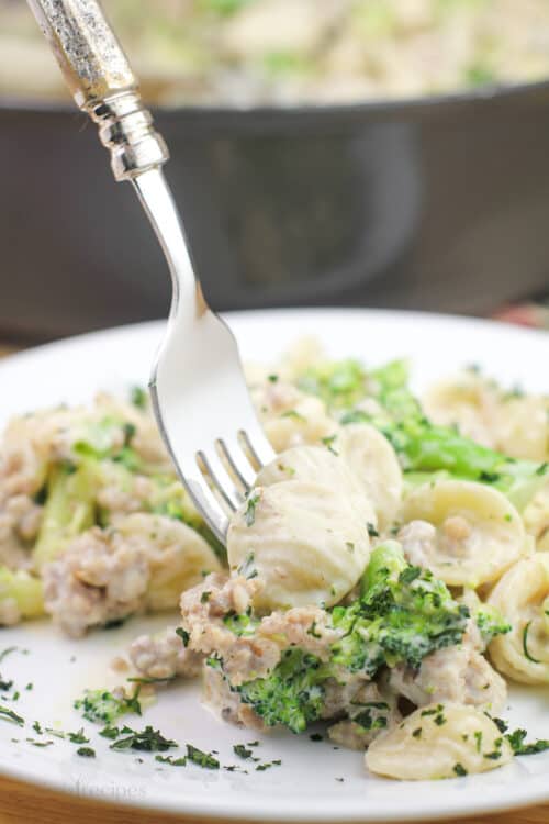 fork going into serving of prepared pasta on white dish