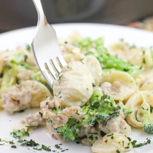 fork going into serving of prepared pasta on white dish