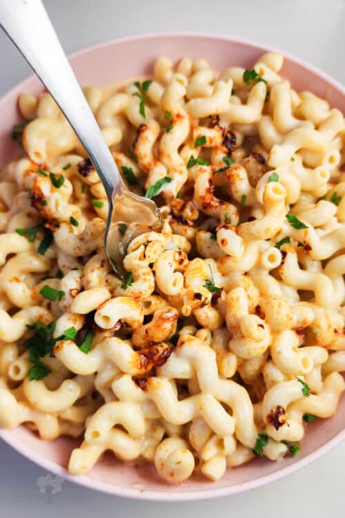 Cottage Cheese Mac and Cheese Erica's Recipes