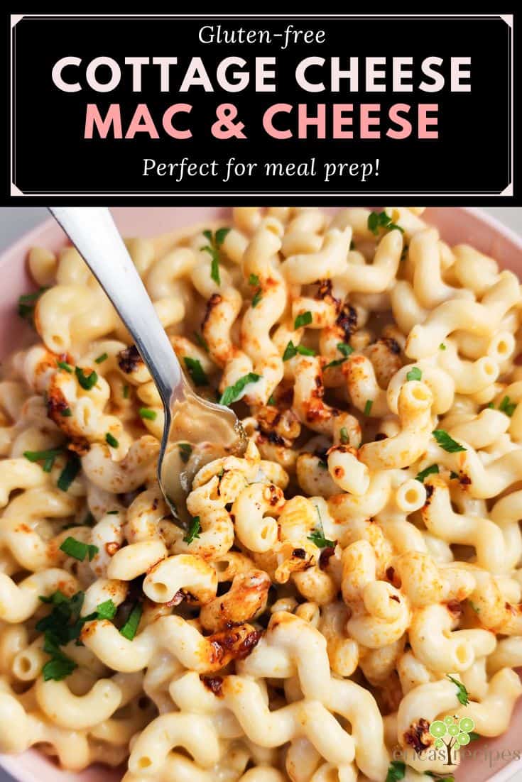 Cottage Cheese Mac and Cheese Erica's Recipes