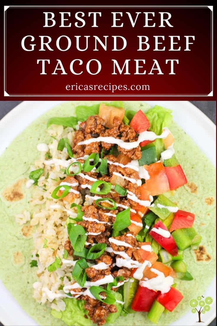 Best Ever Ground Beef Taco Meat – Erica's Recipes