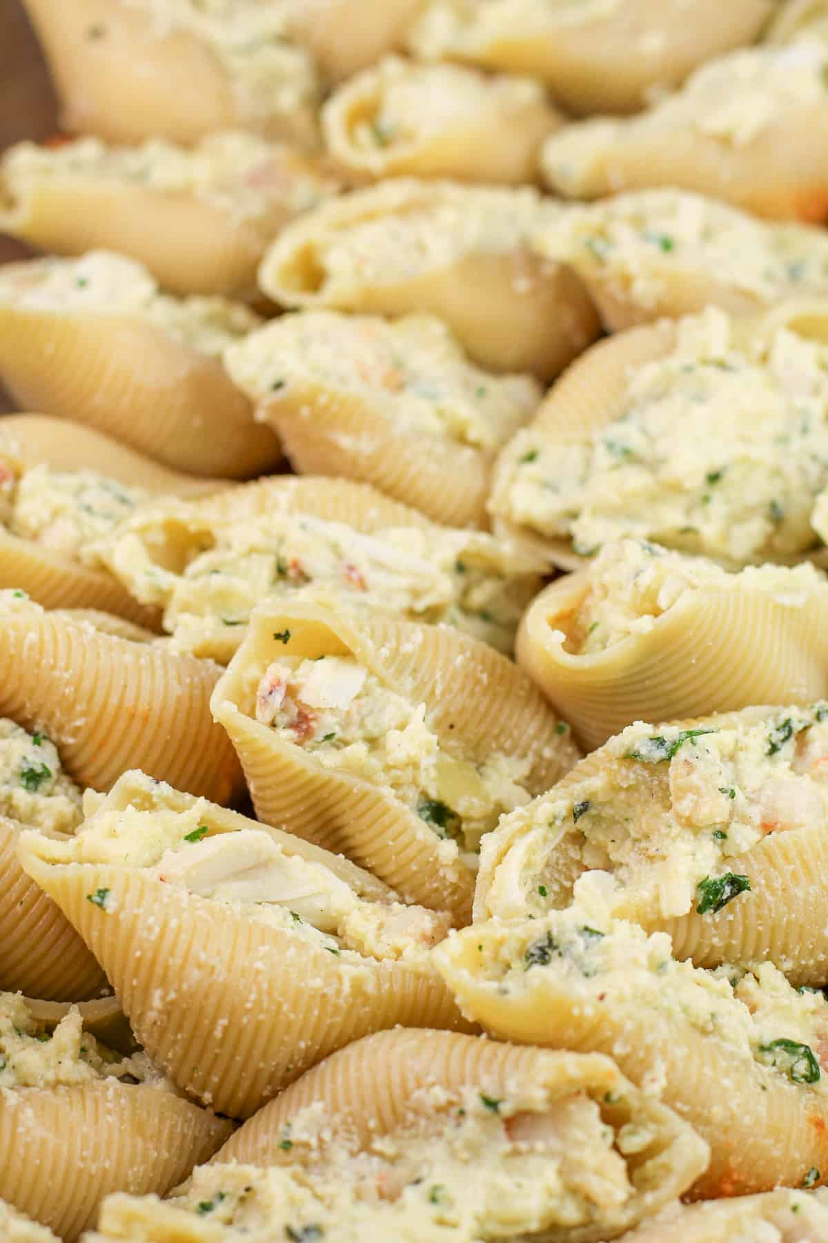 stuffed pasta shells, uncooked and before topping with sauce