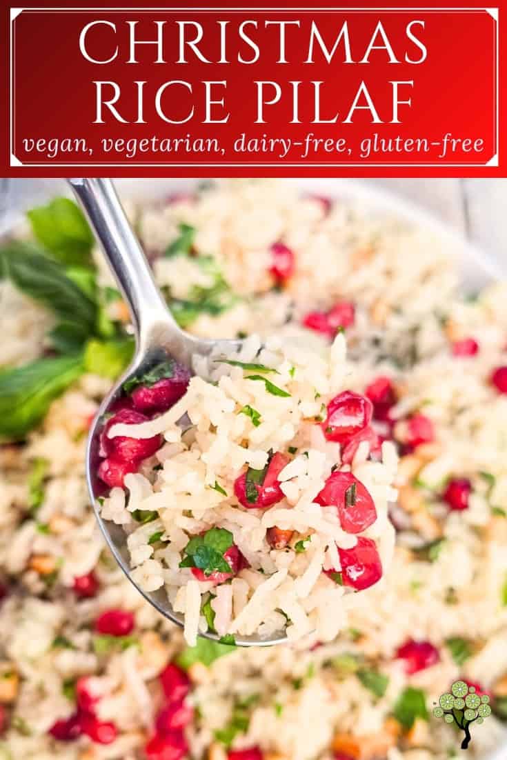 Christmas Dinner Rice Recipes